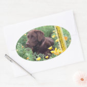Chocolate Lab California Poppy Patch Persoonlijk Ovale Sticker (Envelop)