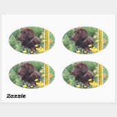Chocolate Lab California Poppy Patch Persoonlijk Ovale Sticker (Vel)