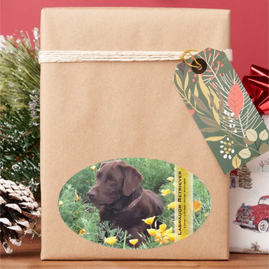 Chocolate Lab California Poppy Patch Persoonlijk Ovale Sticker (Feestdagen)
