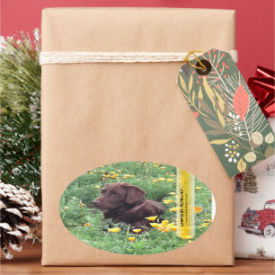 Chocolate Lab California Poppy Patch Persoonlijk Ovale Sticker