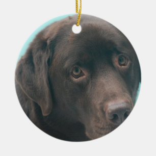 Chocolate Lab Dog Ornaments Keramisch Ornament