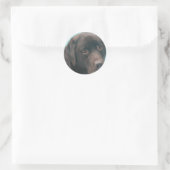 Chocolate Lab Dog Stickers (Tas)
