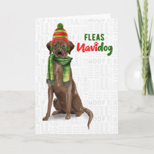 Chocolate Lab Funny Fleas Navidog Kerstmis Feestdagen Kaart