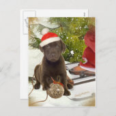 Chocolate Lab houdt van Kaarten Feestdagenkaart (Voorkant / Achterkant)