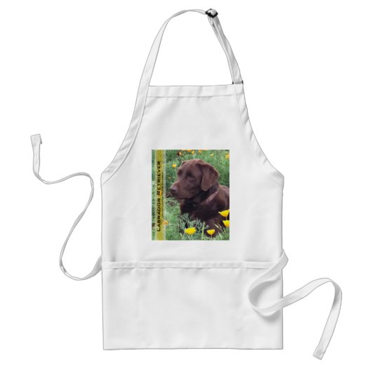 Chocolate Lab in de Papierpatchaangepaste foto en  Standaard Schort (Voorkant)