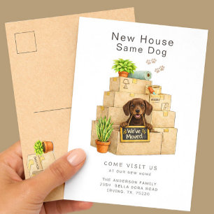 Chocolate Lab Nieuw Huis Verhuisbericht Briefkaart
