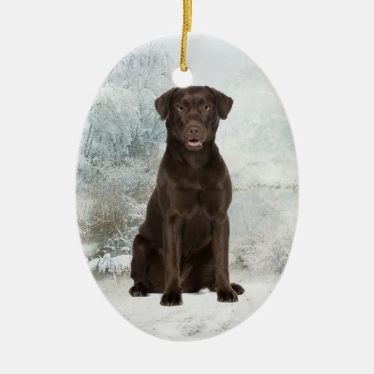 Chocolate Lab Ornament (Voorkant)