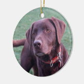 Chocolate Lab Ornament (Links)