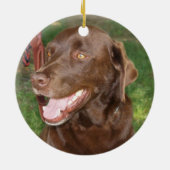 Chocolate Lab Ornament (Achterkant)