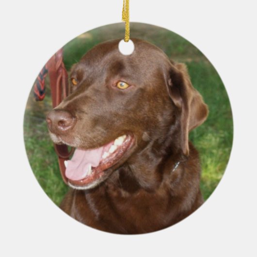 Chocolate Lab Ornament (Achterkant)