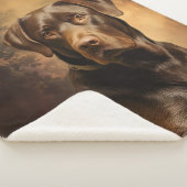 Chocolate Lab Pa Sherpa Deken (3/4)