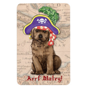 Chocolate Lab Pirate Magneet