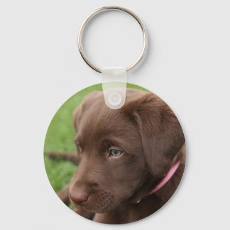 Chocolate Lab Pup Sleutelhanger