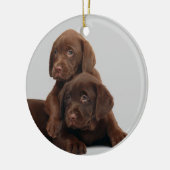 Chocolate Lab Puppy Ornament (Links)