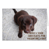 Chocolate Lab Puppy Valentijnsdag Meme Kaart (Voorkant Horizontaal)