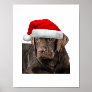 Chocolate Lab Shirt Labrador Retriever Dog Christm Poster