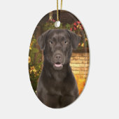 Chocolate Lab Xmas Ornament (Links)