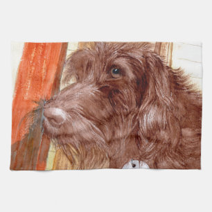 Chocolate Labradoodle Jackson Theedoek