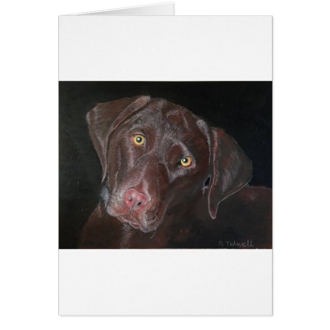 Chocolate Labrador (Voorkant)