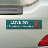 Chocolate Labrador Bumpersticker (Op auto)