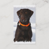 Chocolate Labrador Business Card Visitekaartje (Achterkant)