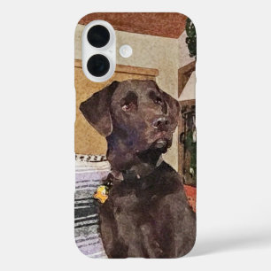 Chocolate Labrador iPhone 16 Hoesje