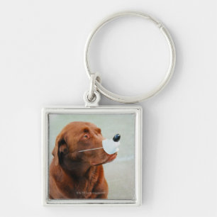 Chocolate Labrador die een slang heeft Sleutelhanger