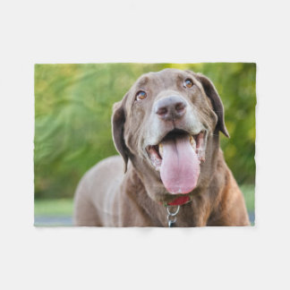 Chocolate Labrador Dog Fleece Deken