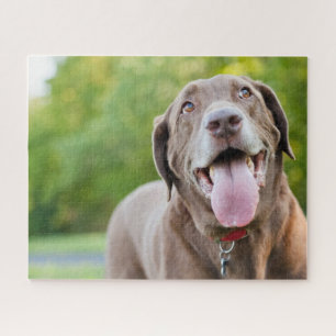 Chocolate Labrador Dog Legpuzzel