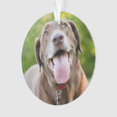 Chocolate Labrador Dog Ornament (voorkant)