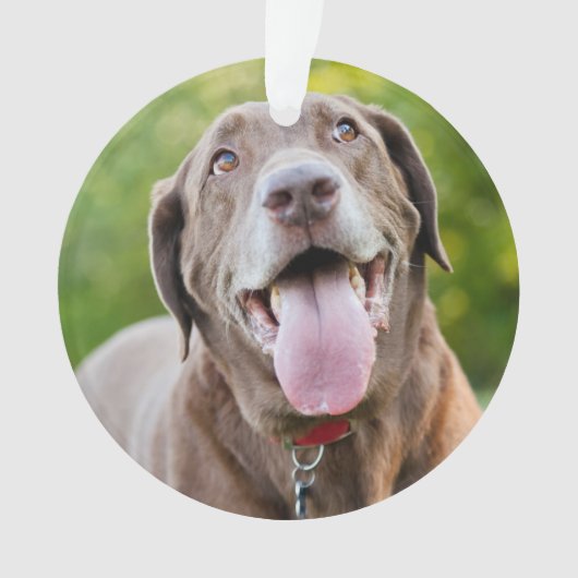 Chocolate Labrador Dog Ornament (voorkant)