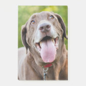 Chocolate Labrador Dog Post-it® Notes (Voorkant)