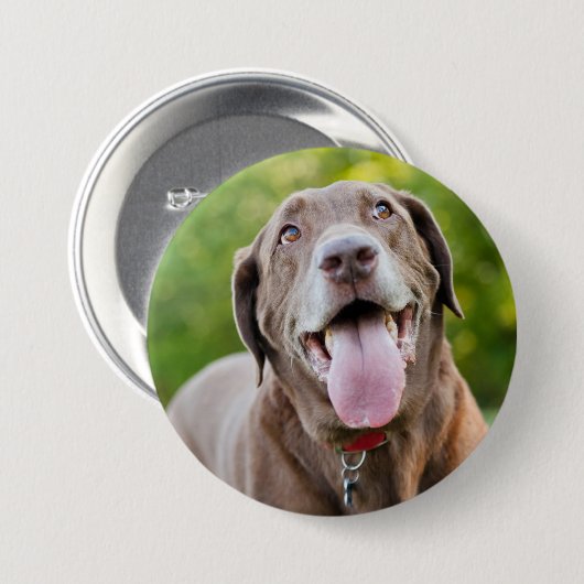 Chocolate Labrador Dog Ronde Button 7,6 Cm (Voorkant /achterkant)