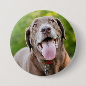Chocolate Labrador Dog Ronde Button 7,6 Cm (Voorkant)