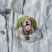 Chocolate Labrador Dog Ronde Button 7,6 Cm (In situ)