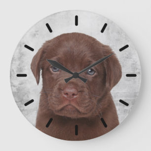Chocolate Labrador Grote Klok
