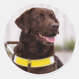 Chocolate Labrador Guide Dog Graduation Ronde Sticker