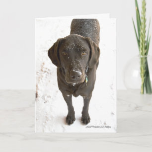 Chocolate Labrador-hond foto 'Ik mis je' Kaart