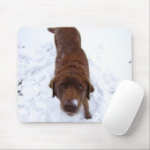 Chocolate Labrador in sneeuw Muismat (Met muis)