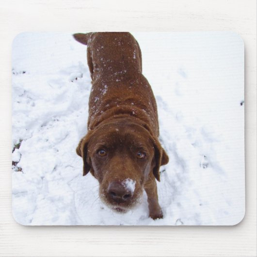 Chocolate Labrador in sneeuw Muismat (Voorkant)