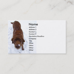 Chocolate Labrador in sneeuwVisitekaartje Visitekaartje