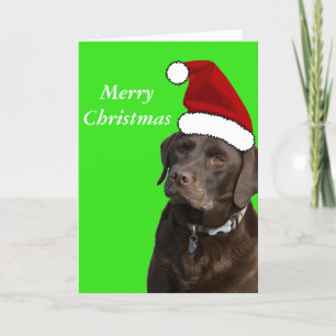 Chocolate Labrador-kerstKaart Feestdagen Kaart