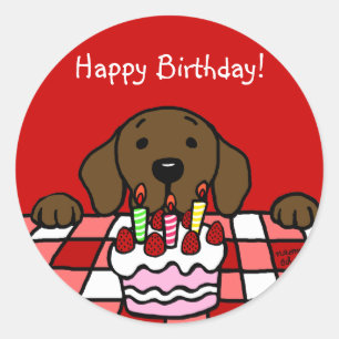 Chocolate Labrador kijkt naar je keuken Ronde Sticker