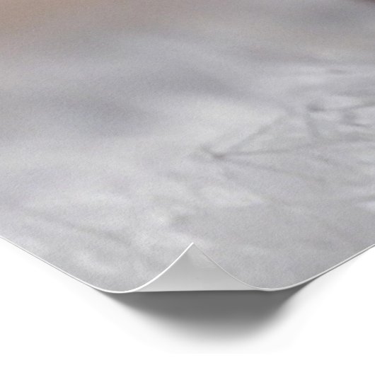 Chocolate Labrador Poster (Hoek)