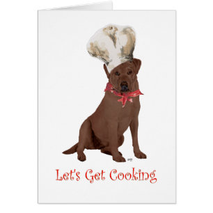 Chocolate Labrador Retriever Chef