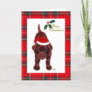 Chocolate Labrador Retriever Christmas Kaart