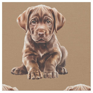 Chocolate Labrador Retriever Hond Stof