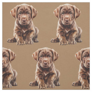 Chocolate Labrador Retriever Hond Stof