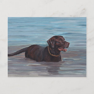 Chocolate Labrador Retriever in waterkaart Briefkaart