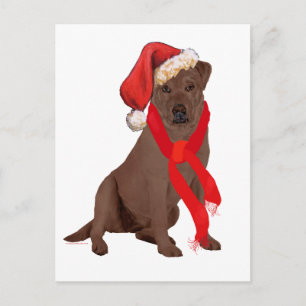 Chocolate Labrador Retriever Kerstmis Feestdagenkaart